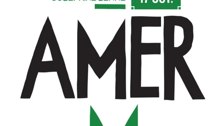 Amer M.