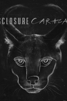 Disclosure en concert