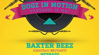 Dogz in Motion W/ Baxter Beez