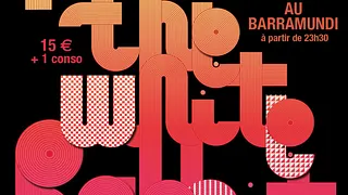 Follow The White Rabbit with Matt Tolfrey(cocoon)