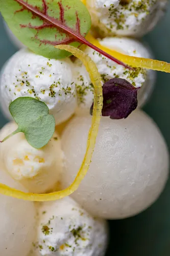 Le Café de l'Homme Restaurant Paris
