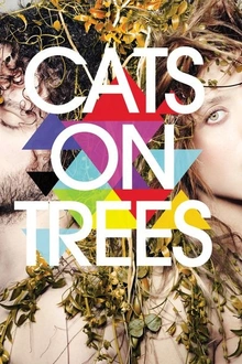 Cats On Trees en concert