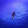 Elsa H