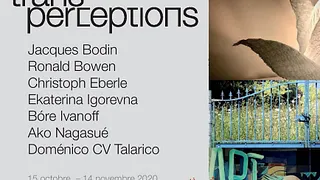 Transperceptions