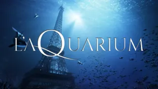 l'aQuarium