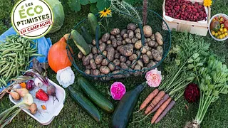 Micro-ferme, mode d’emploi