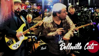 Belleville cats