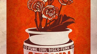 My Grooves : Afshin + friends