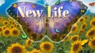 New Life