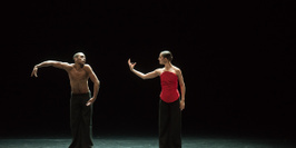 São Paulo Dance Company Scholz / Goecke / Bouvier