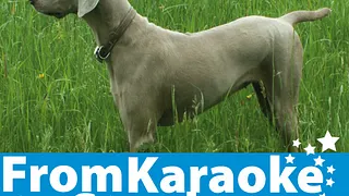 TANZ MIT UNZ #2