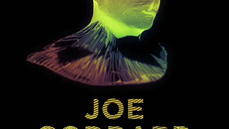 Joe Goddard + Guest