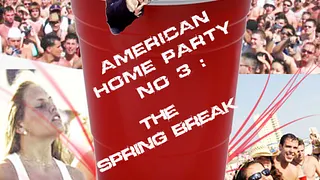 AMERICAN HOME PARTY No 3: THE SPRING BREAK