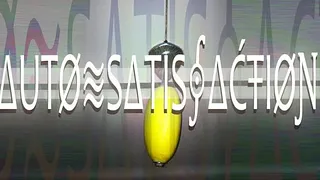 Autosatisfaction