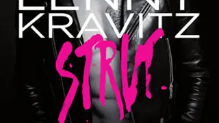 Lenny Kravitz en concert