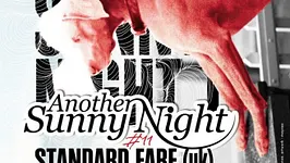 Another Sunny Night _ Standard Fare, The Garlands, DJ set The Davincy -AV-