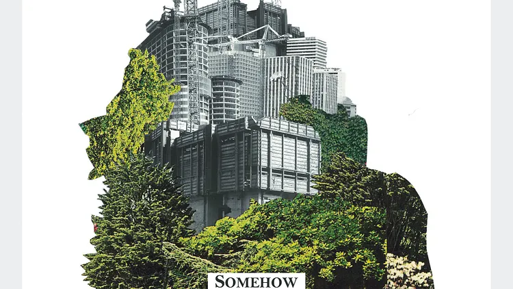 Somehow