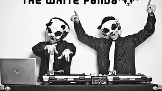 The White Panda