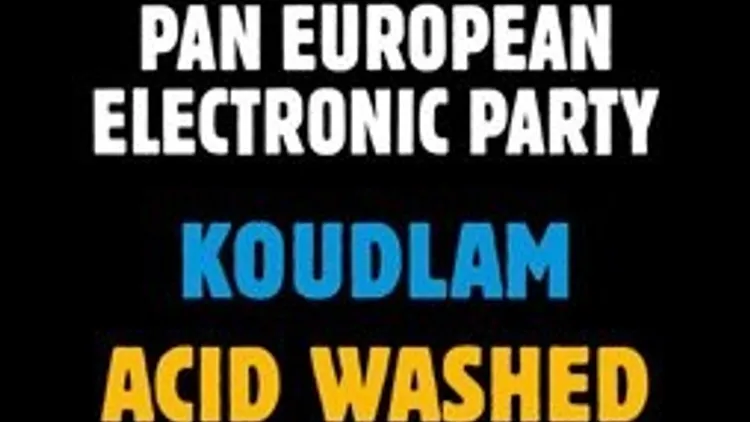 Pan European Electronic Party