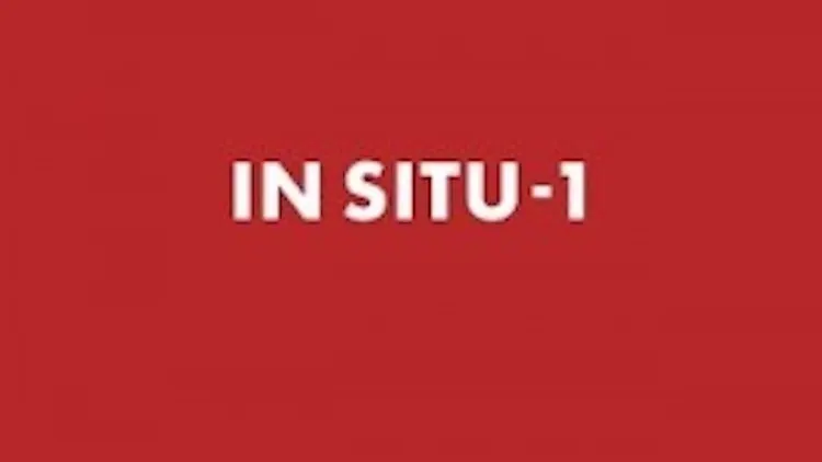 Expo In Situ-1