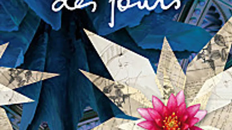 L'Ecume des jours, du roman au film