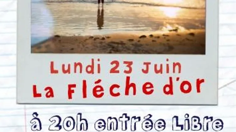 ROBIN ET SES AMIS