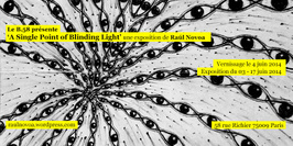 Exposition A Single Point of Blinding Light de Raúl Novoa