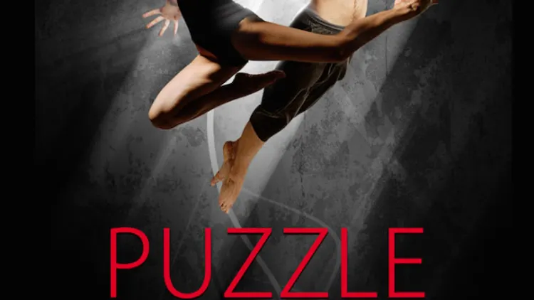 Spectacle Puzzle