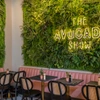 Avocado Show