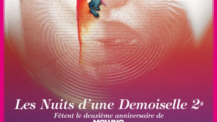 LES NUITS D'UNE DEMOISELLE #2