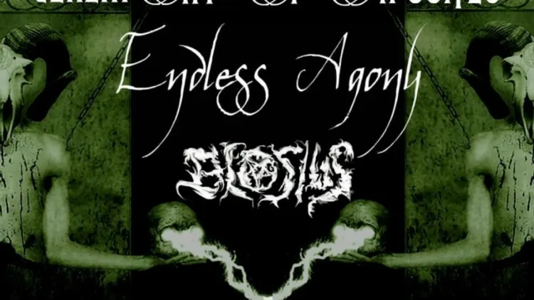 Endless Ceremony Tour ( Part France )