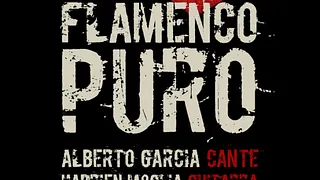 Flamenco Puro