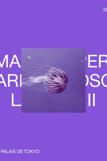 H A ï K U x Max Cooper Live x Marie Davidson Dj x Lamusa II