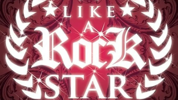 PARTY LIKE A ROCK STAR
