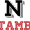 Noctambuzz