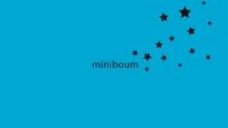 Miniboum