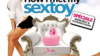 How I Met My Sextoy