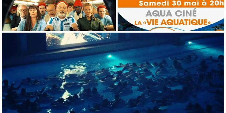 Aqua Ciné : La Vie aquatique de Wes Anderson