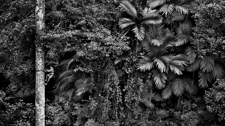 Rencontre avec Sebastião Salgado