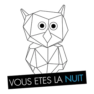 VOUS ETES LA NUIT #