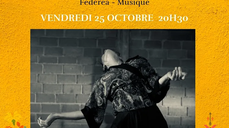The Flight of the Iguana Project - Danse contemporaine