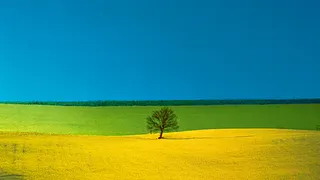 Vernissage | "Conversazione" de Mario Giacomelli & Franco Fontana