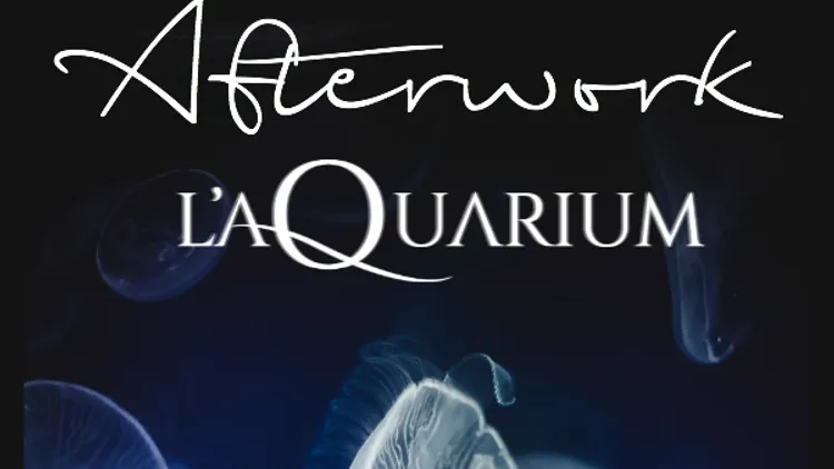 Afterwork à l'Aquarium (NEFS)