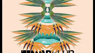 WADKLUB