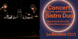 Concert Sistro Duo : électro-percussions au Bicolore