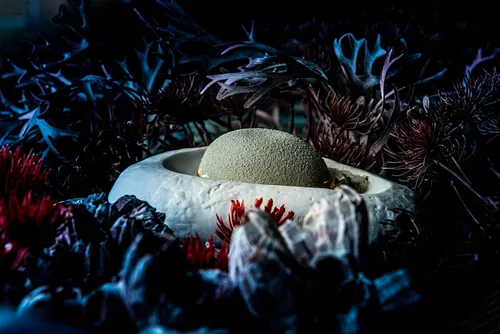Under the sea Restaurant Issy-les-Moulineaux