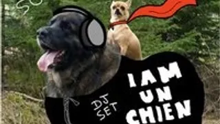 I AM UN CHIEN EN DJ SET