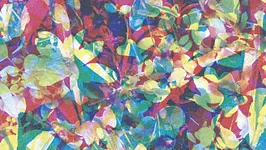 Caribou en concert