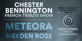 Chester Bennington French Tribute Show