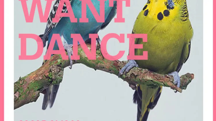 We Want Dance : Na'Sayah - Phil Dark -Tito